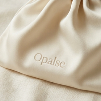 Silk Pouch